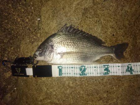 仕事帰りチニング